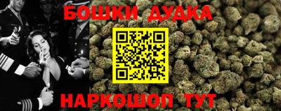 прущие грибы Кандалакша