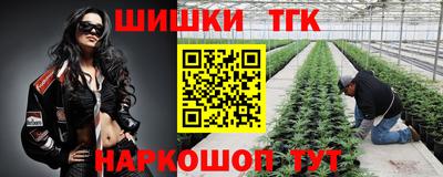 прущие грибы Кандалакша