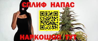 гидропоника Камышлов