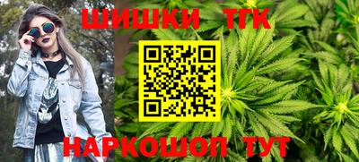 гидропоника Камышлов