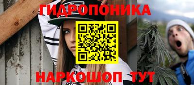 марихуана Кингисепп