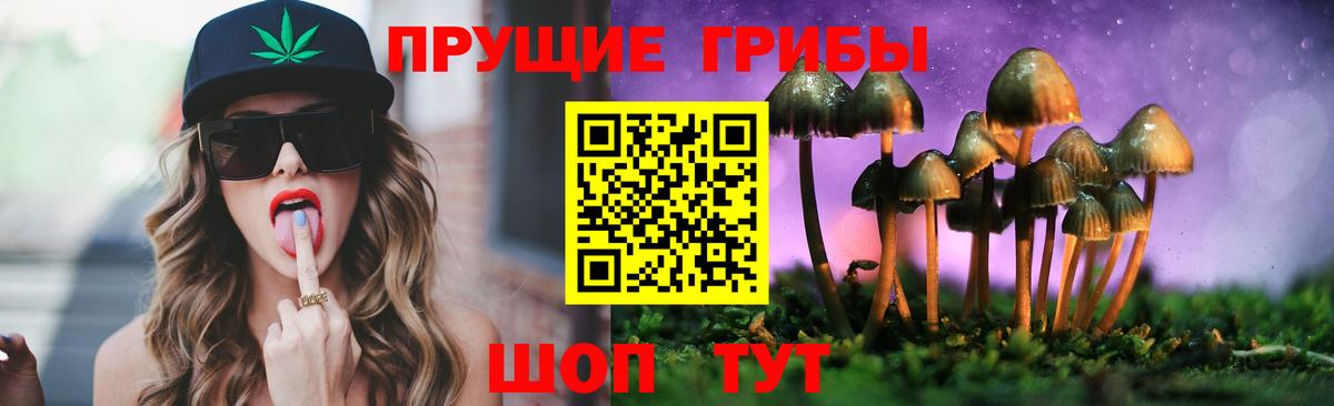 Лабинск  Псилоцибиновые грибы мицелий  Псилоцибиновые грибы GOLDEN TEACHER  Вход с VPN 